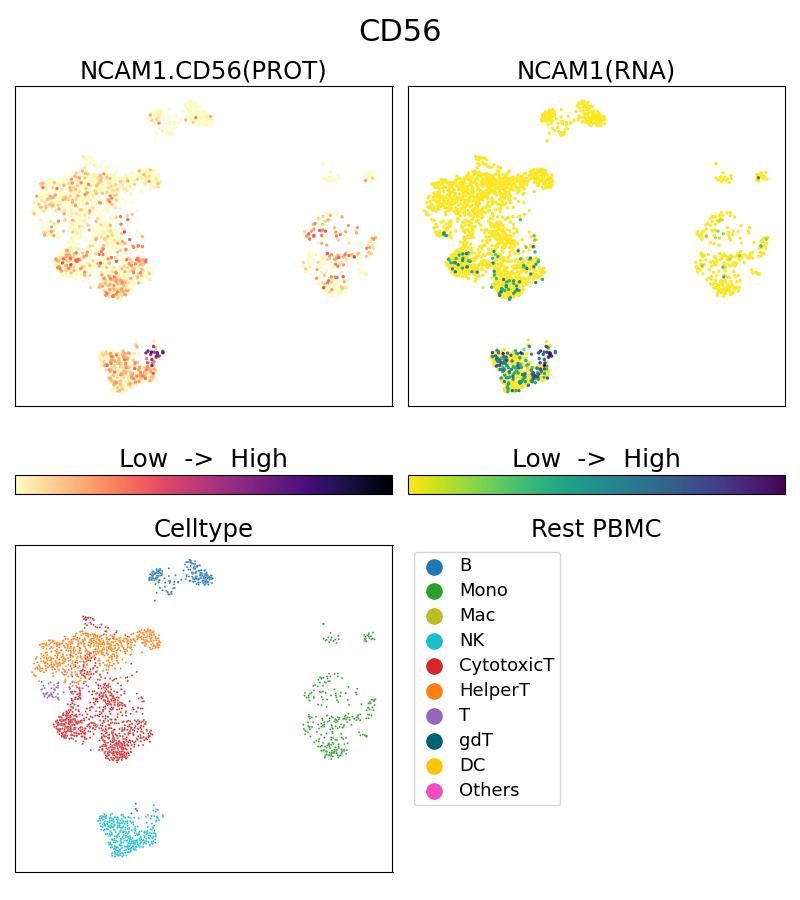 Single Cell Sequencing experiment G65067-1-5C on Resting PBMC