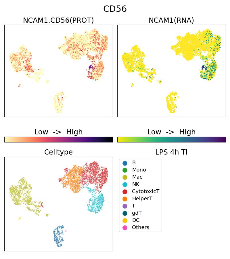 Single Cell Sequencing experiment G65067-1-5C on PBMC treated with 4hr LPS + TI