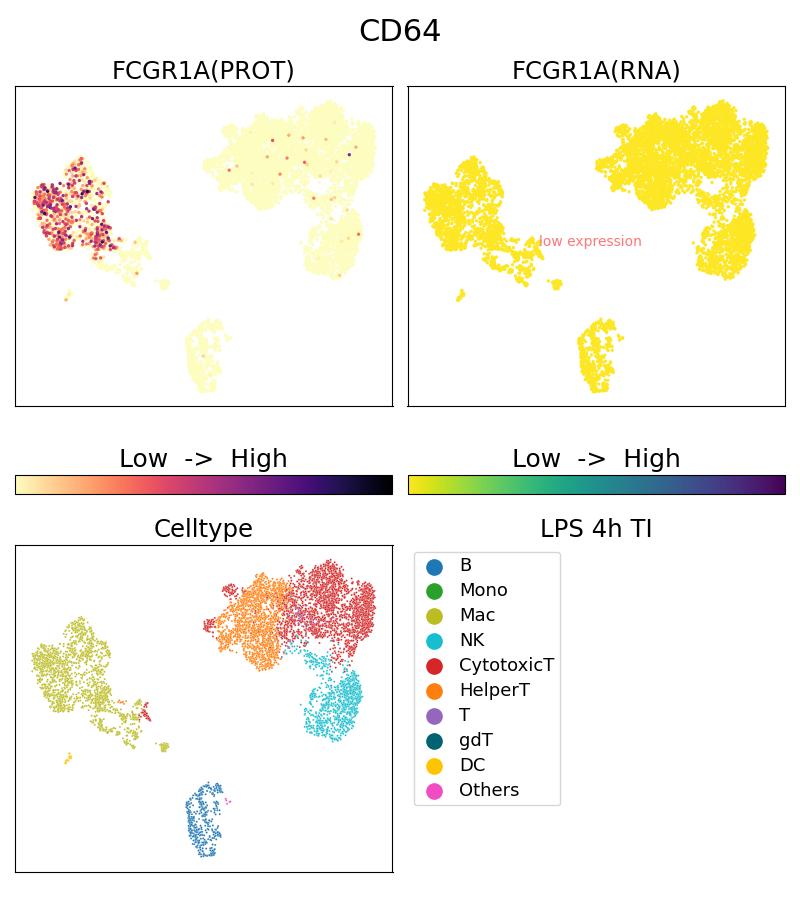 Single Cell Sequencing experiment G65253-1-5C on PBMC treated with 4hr LPS + TI