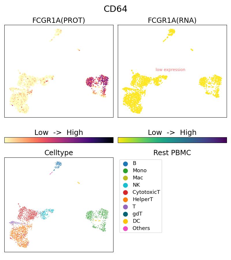 Single Cell Sequencing experiment G65253-1-5C on Resting PBMC