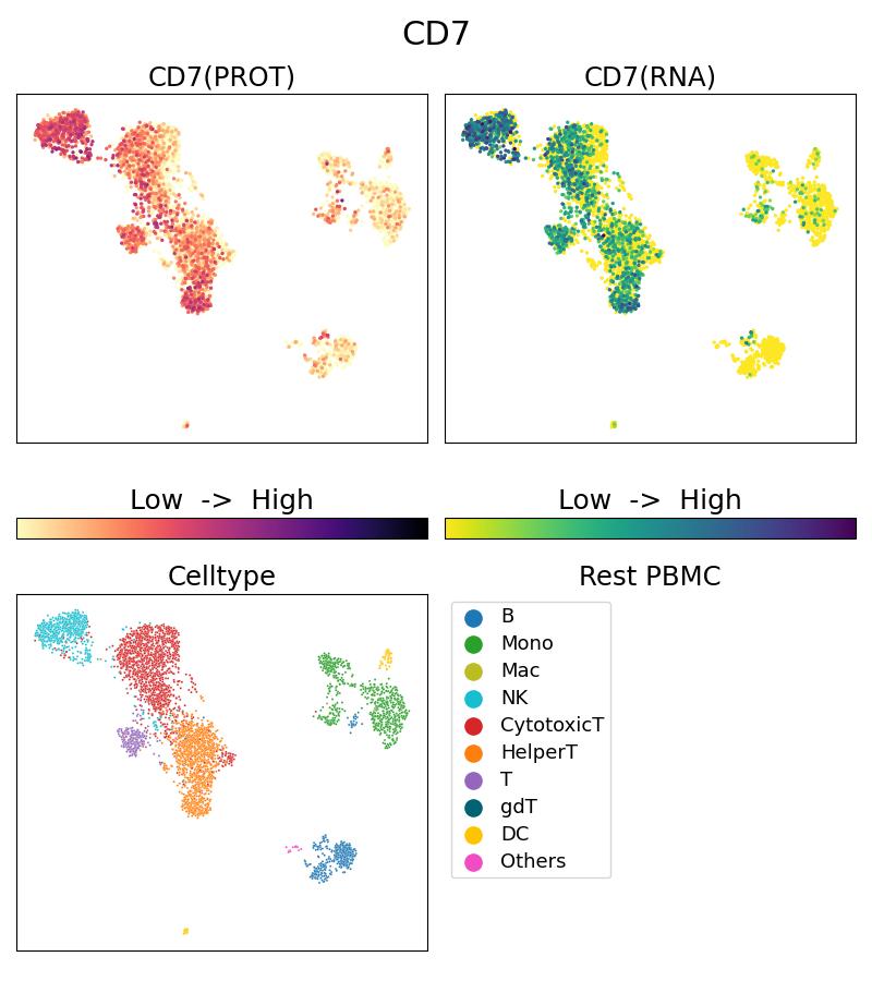 Single Cell Sequencing experiment G65203-1-5C on Resting PBMC