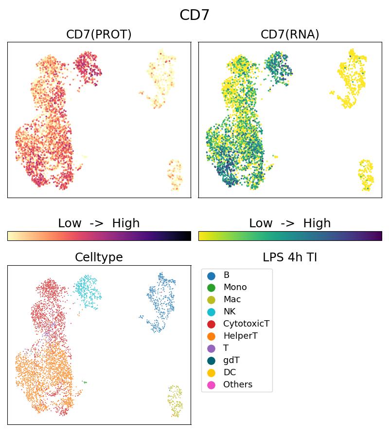 Single Cell Sequencing experiment G65203-1-5C on PBMC treated with 4hr LPS + TI