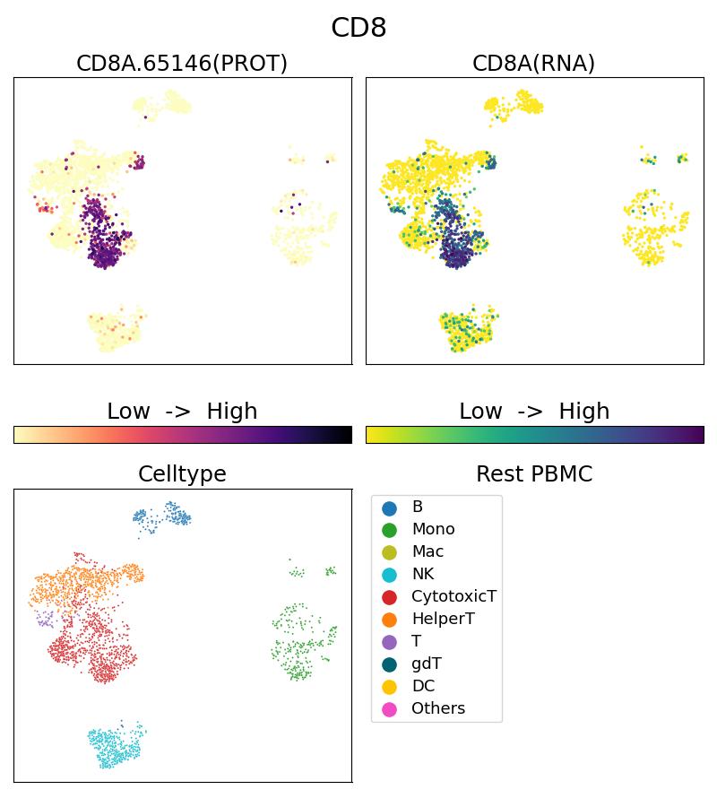 Single Cell Sequencing experiment G65146-1-5C on Resting PBMC