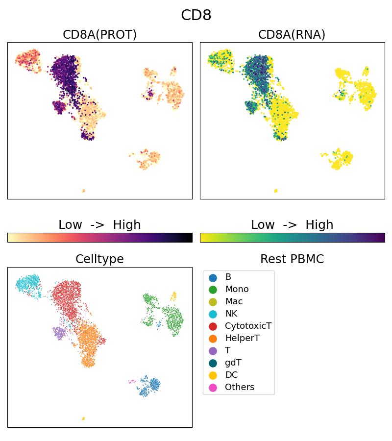 Single Cell Sequencing experiment G65204-1-5C on Resting PBMC