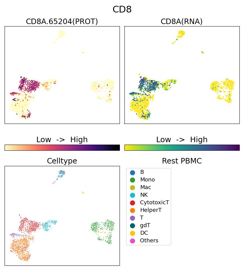 Single Cell Sequencing experiment G65204-1-5C on Resting PBMC