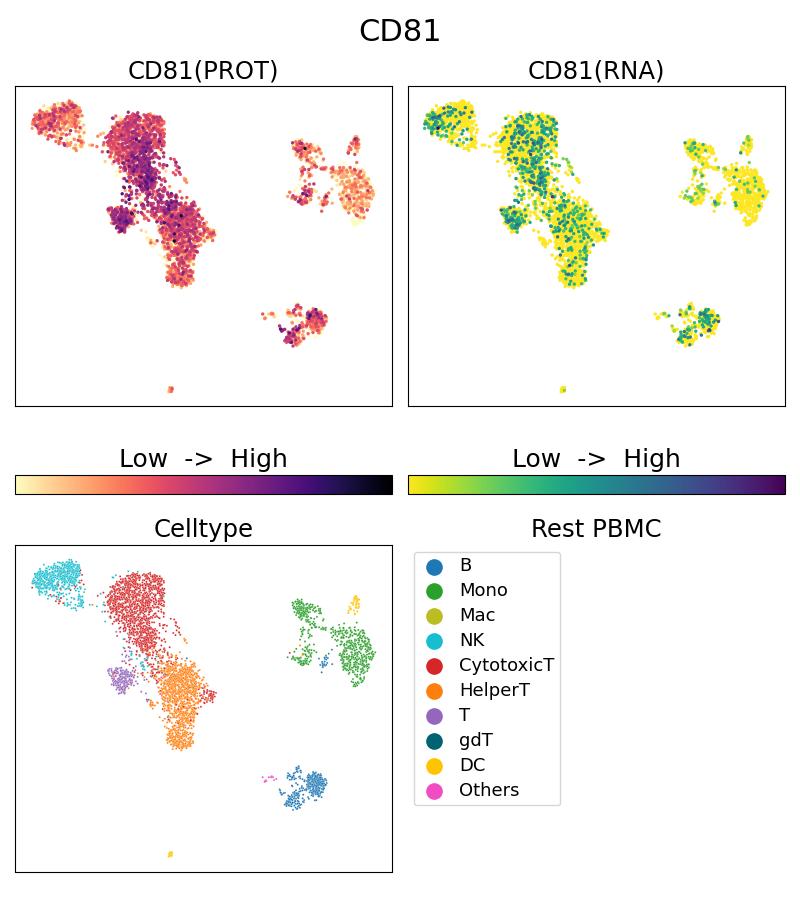 Single Cell Sequencing experiment G65195-1-5C on Resting PBMC