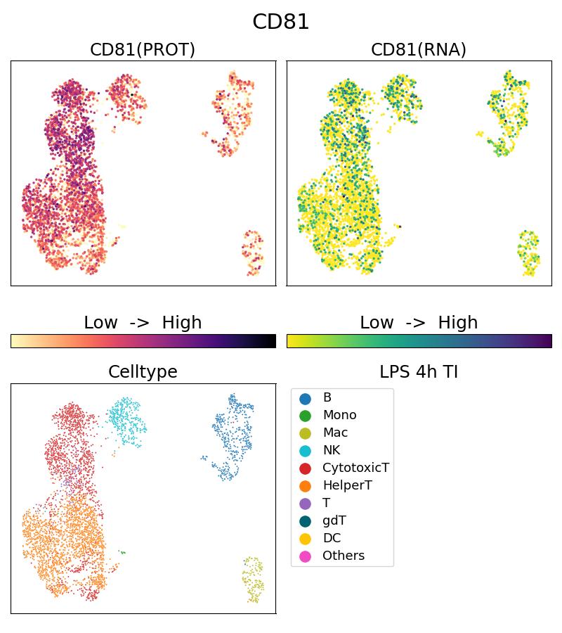 Single Cell Sequencing experiment G65195-1-5C on PBMC treated with 4hr LPS + TI