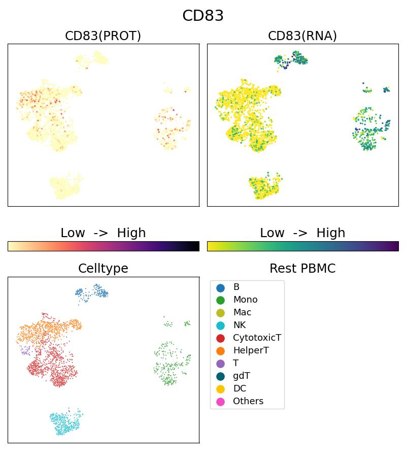 Single Cell Sequencing experiment G65171-1-5C on Resting PBMC