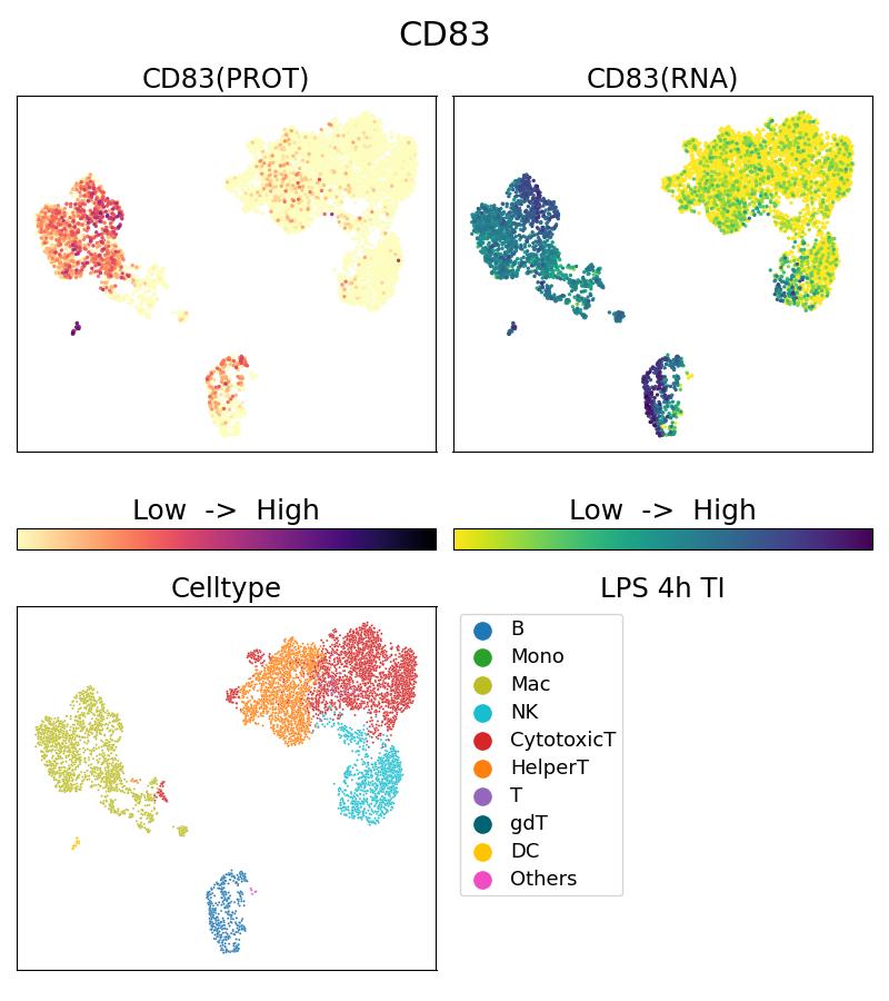 CD83