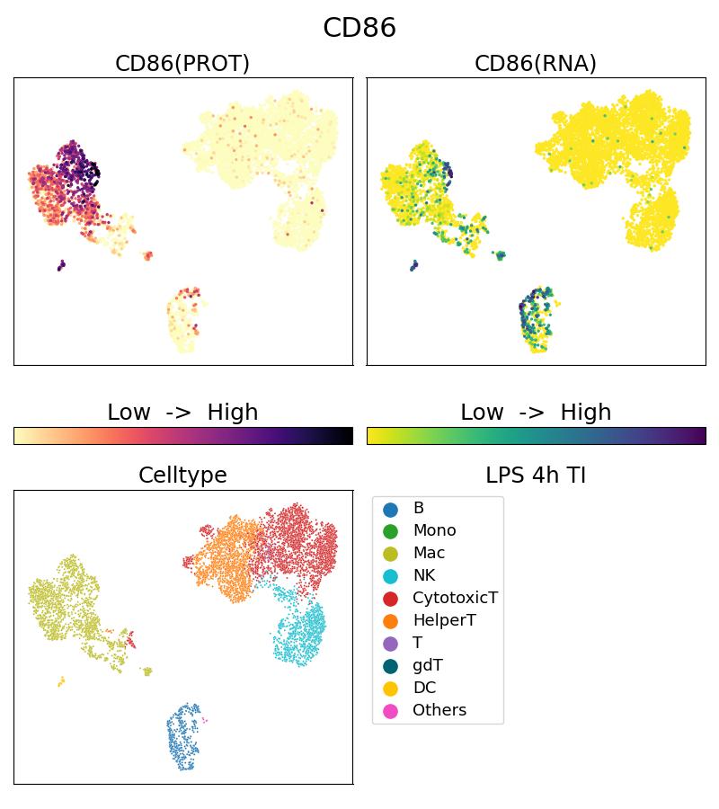 Single Cell Sequencing experiment G65165-1-5C on PBMC treated with 4hr LPS + TI