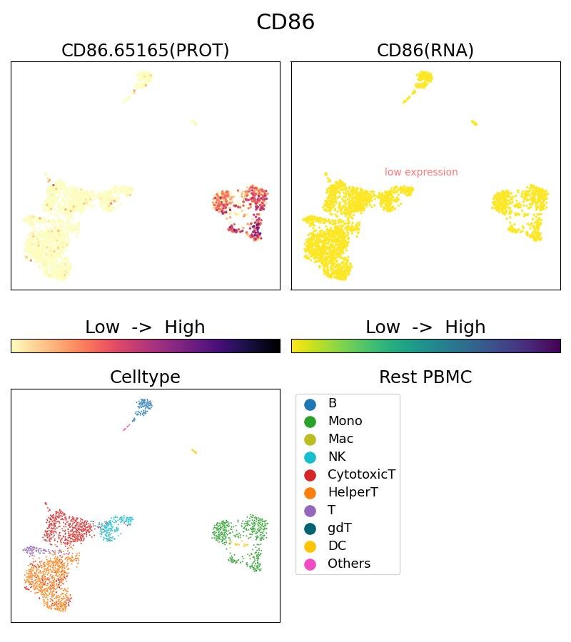 Single Cell Sequencing experiment G65165-1-5C on Resting PBMC