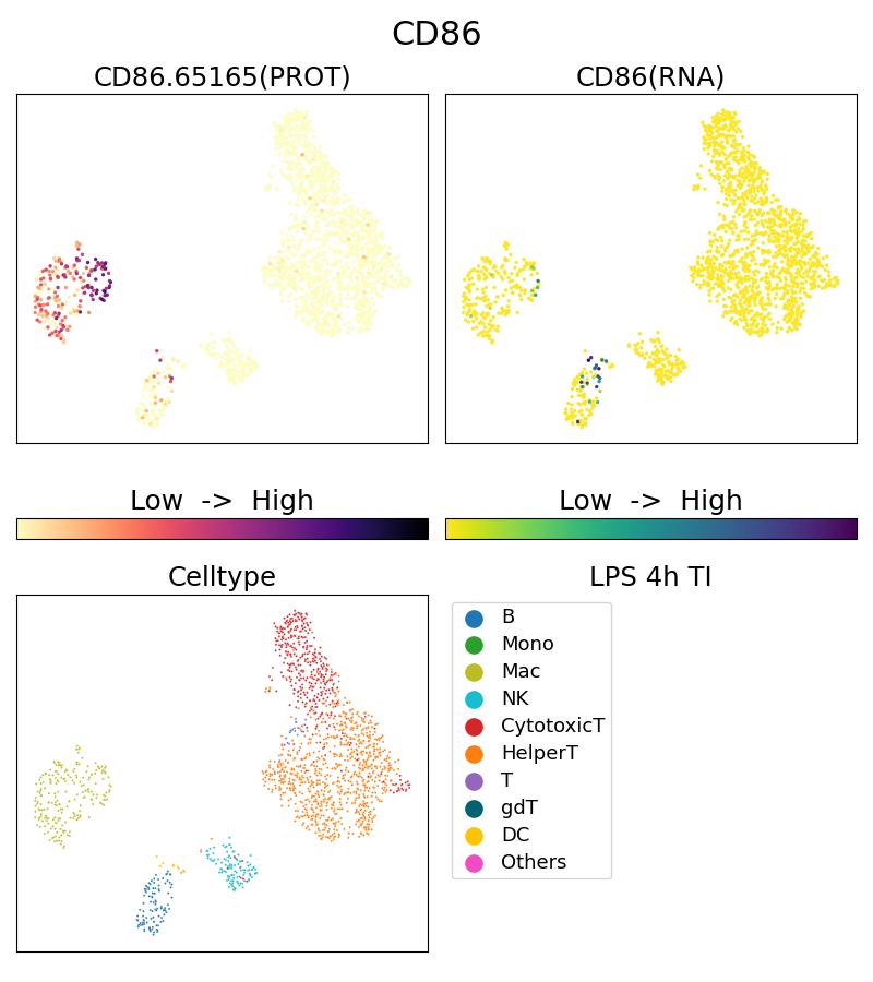 Single Cell Sequencing experiment G65165-1-5C on PBMC treated with 4hr LPS + TI