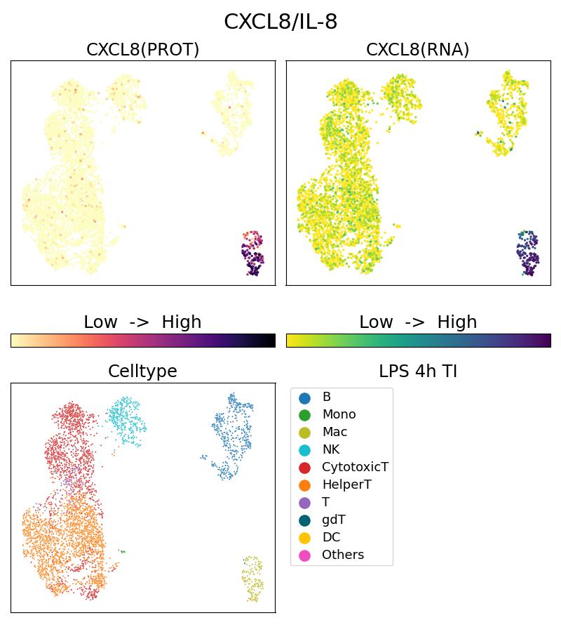 Single Cell Sequencing experiment G17038-1-5C on PBMC treated with 4hr LPS + TI