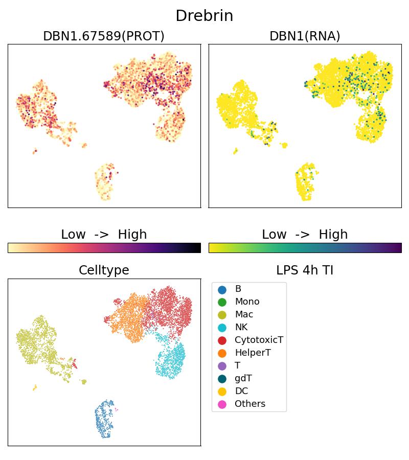 Single Cell Sequencing experiment G67589-1-5C on PBMC treated with 4hr LPS + TI