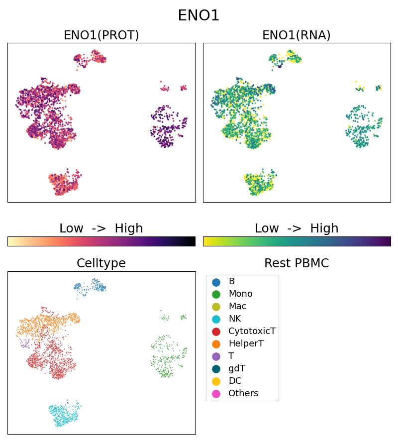 Single Cell Sequencing experiment G81478-1-5C on Resting PBMC