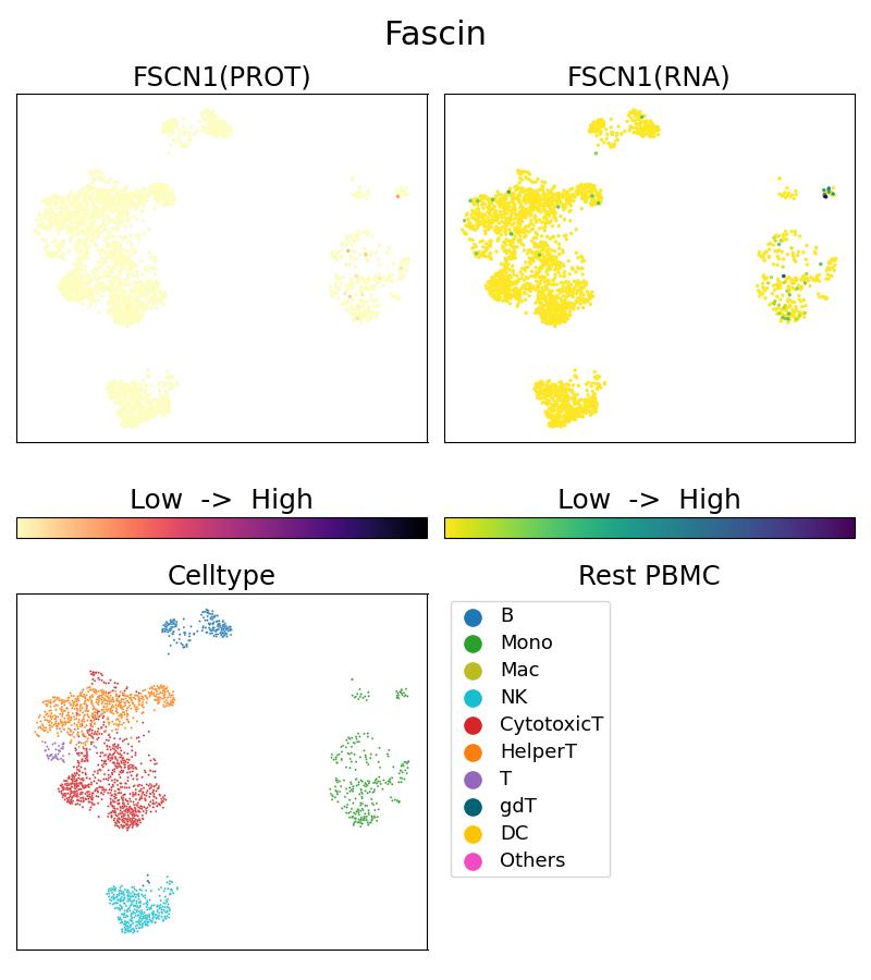 Single Cell Sequencing experiment G66321-1-5C on Resting PBMC