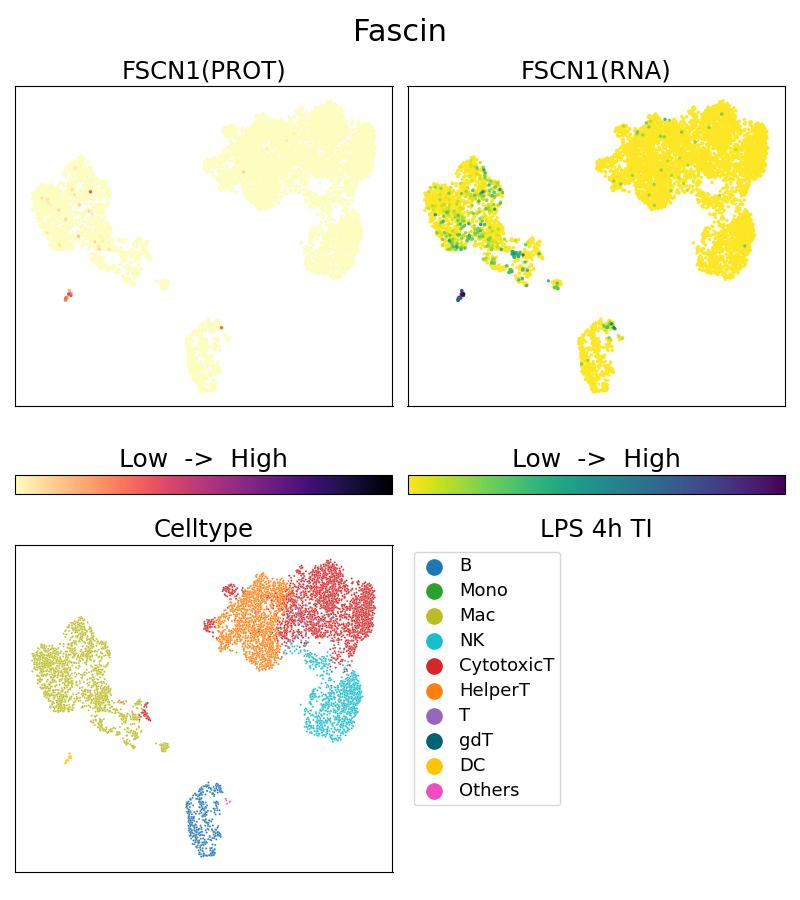 Single Cell Sequencing experiment G66321-1-5C on PBMC treated with 4hr LPS + TI