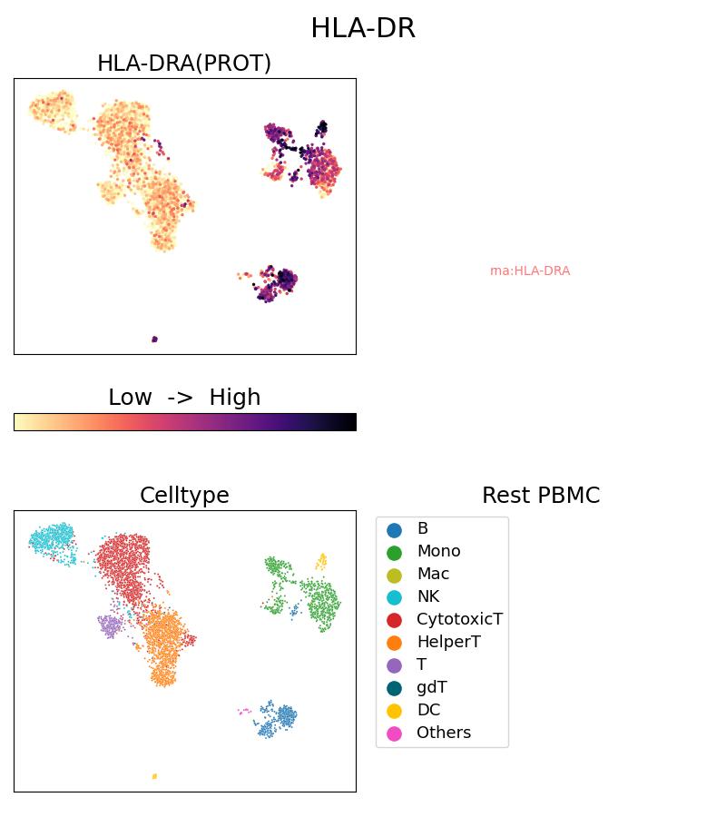 Single Cell Sequencing experiment G65218-1-5C on Resting PBMC