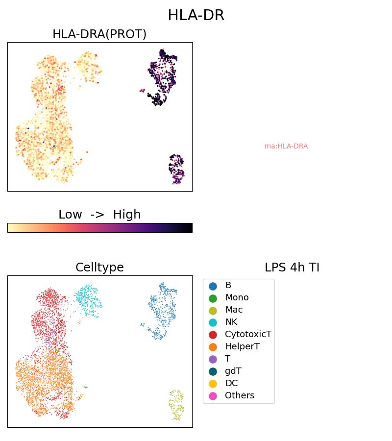 Single Cell Sequencing experiment G65218-1-5C on PBMC treated with 4hr LPS + TI