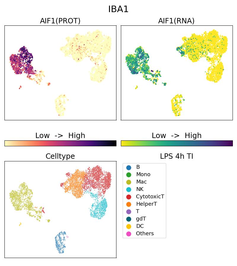 Single Cell Sequencing experiment G10904-1-5C on PBMC treated with 4hr LPS + TI