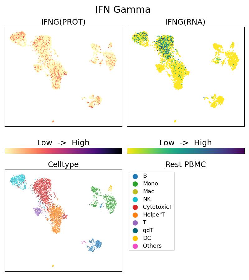 Single Cell Sequencing experiment G69007-1-5C on Resting PBMC