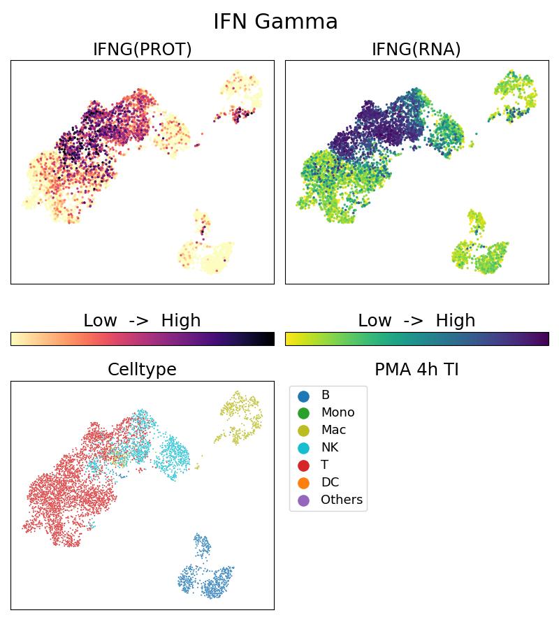 Single Cell Sequencing experiment G69001-1-5C on PBMC treated with 4hr PMA + TI