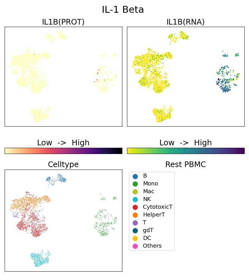 Single Cell Sequencing experiment G66737-1-5C on Resting PBMC