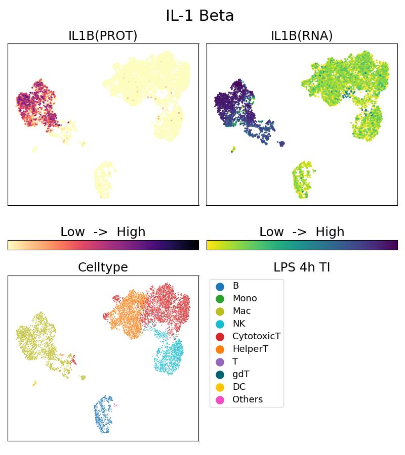 Single Cell Sequencing experiment G66737-1-5C on PBMC treated with 4hr LPS + TI