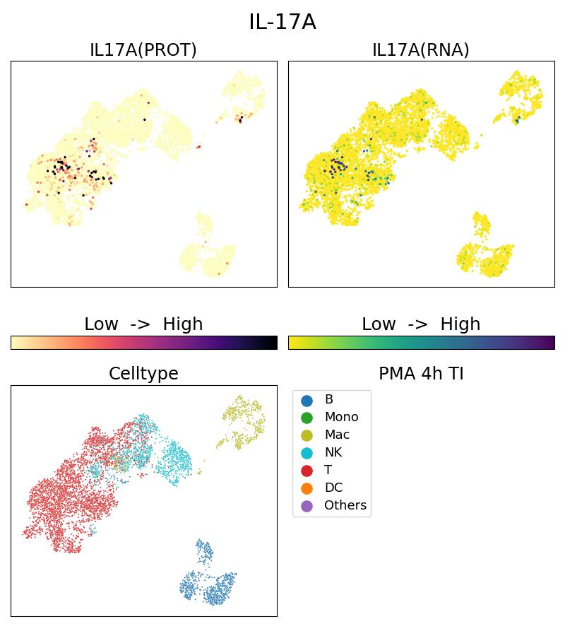 Single Cell Sequencing experiment G69001-1-5C on PBMC treated with 4hr PMA + TI