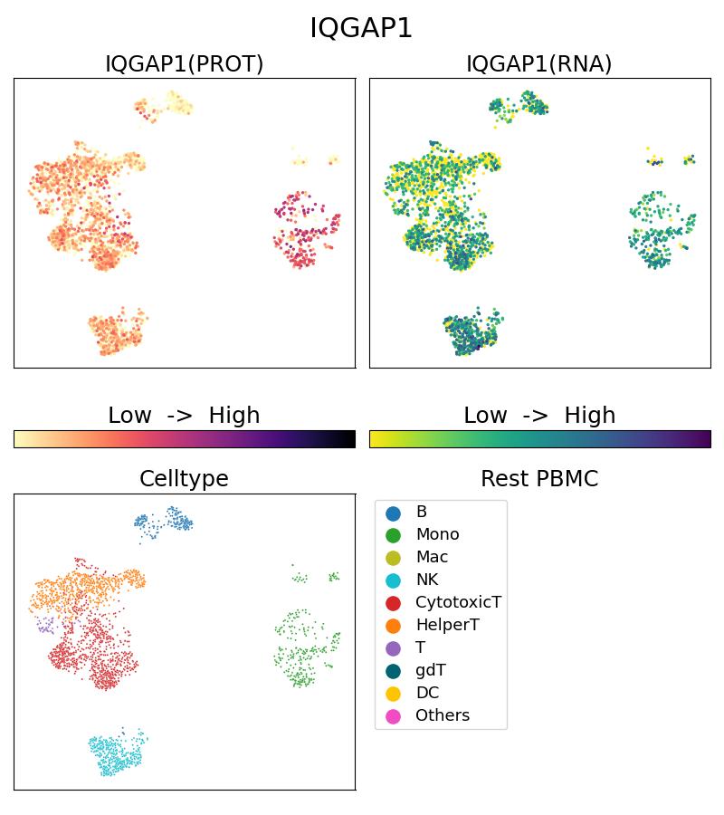 Single Cell Sequencing experiment G22167-1-5C on Resting PBMC