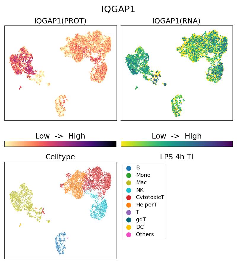 Single Cell Sequencing experiment G22167-1-5C on PBMC treated with 4hr LPS + TI