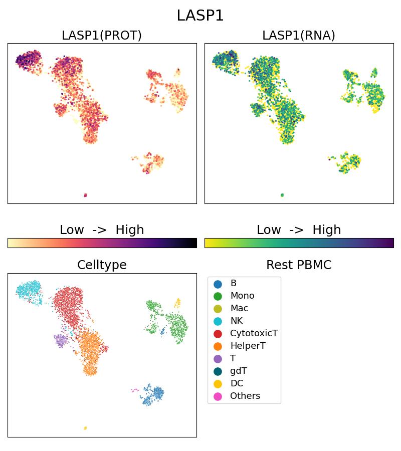 Single Cell Sequencing experiment G68080-1-5C on Resting PBMC