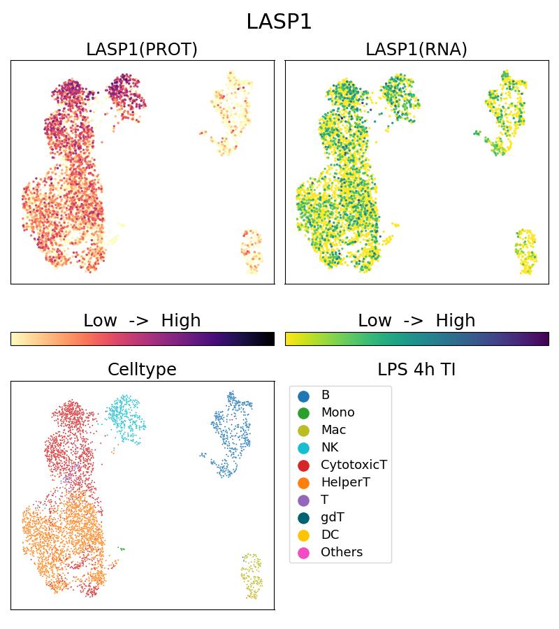 Single Cell Sequencing experiment G68080-1-5C on PBMC treated with 4hr LPS + TI