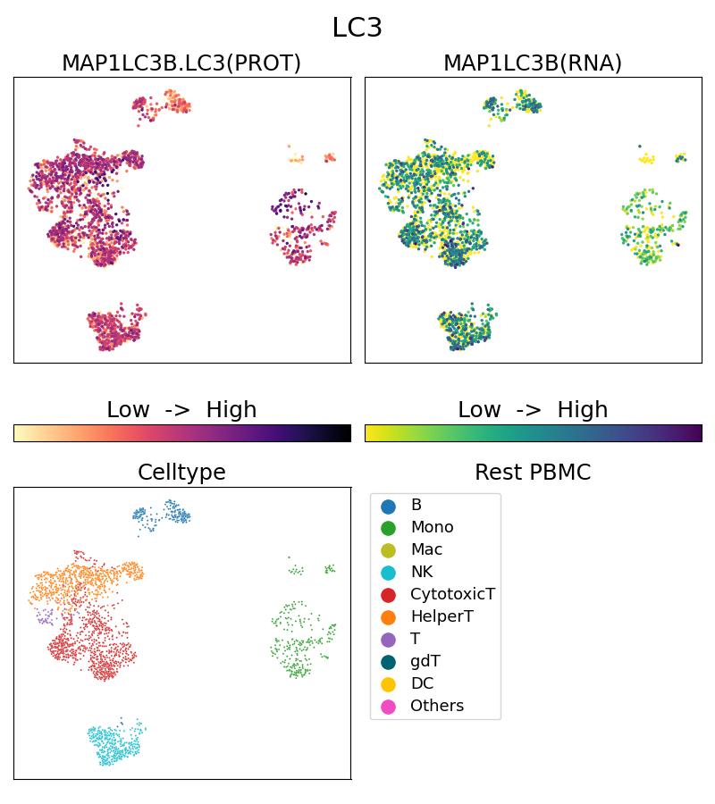 Single Cell Sequencing experiment G81004-1-5C on Resting PBMC