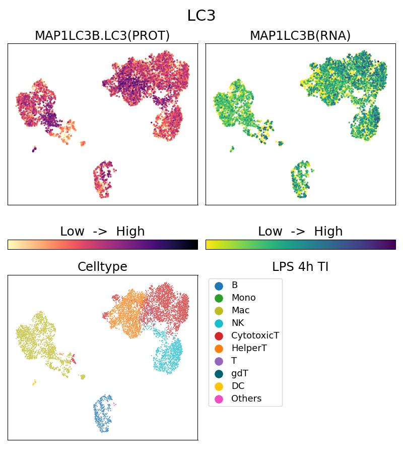 Single Cell Sequencing experiment G81004-1-5C on PBMC treated with 4hr LPS + TI