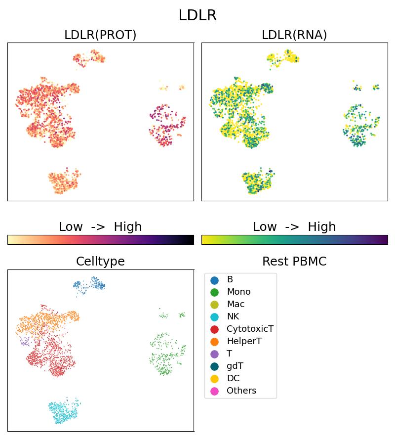 Single Cell Sequencing experiment G66414-1-5C on Resting PBMC