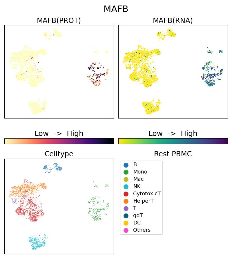 Single Cell Sequencing experiment G20189-1-5C on Resting PBMC