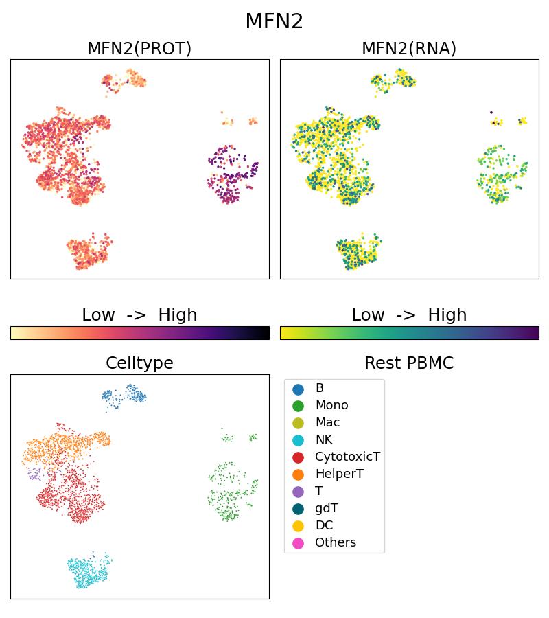 Single Cell Sequencing experiment G67487-1-5C on Resting PBMC