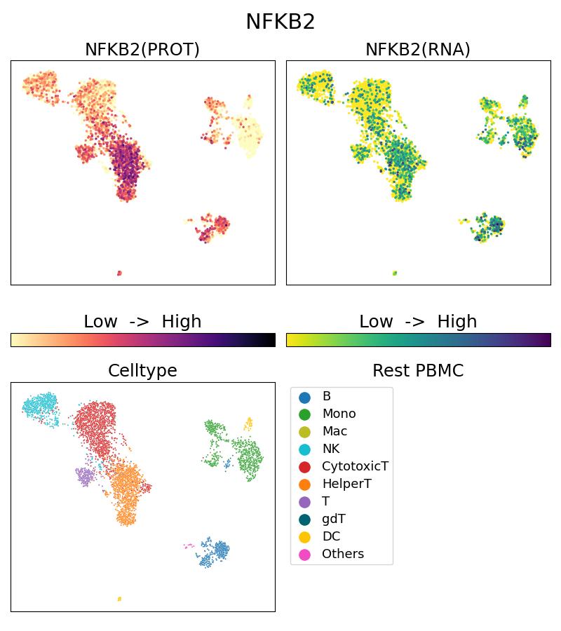 Single Cell Sequencing experiment G66920-1-5C on Resting PBMC