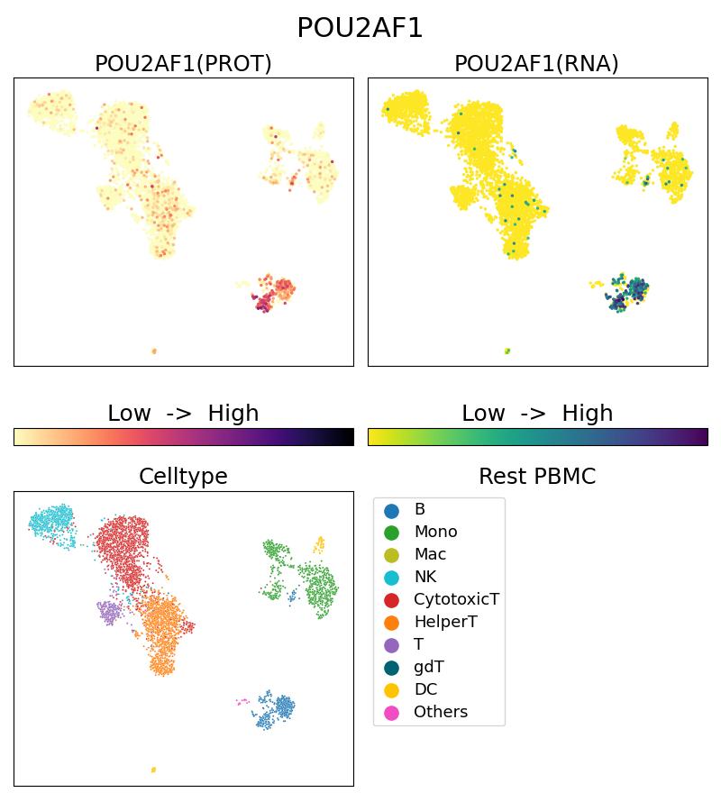 Single Cell Sequencing experiment G66659-1-5C on Resting PBMC