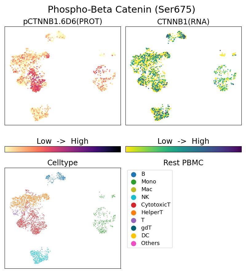 Single Cell Sequencing experiment G80084-1-5C on Resting PBMC