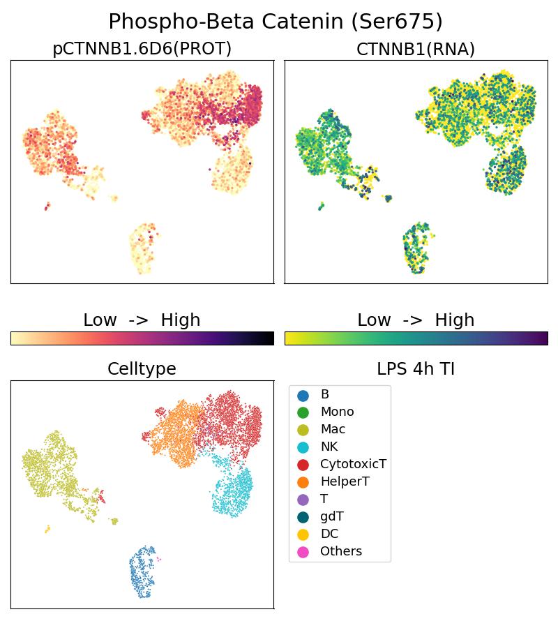 Single Cell Sequencing experiment G80084-1-5C on PBMC treated with 4hr LPS + TI