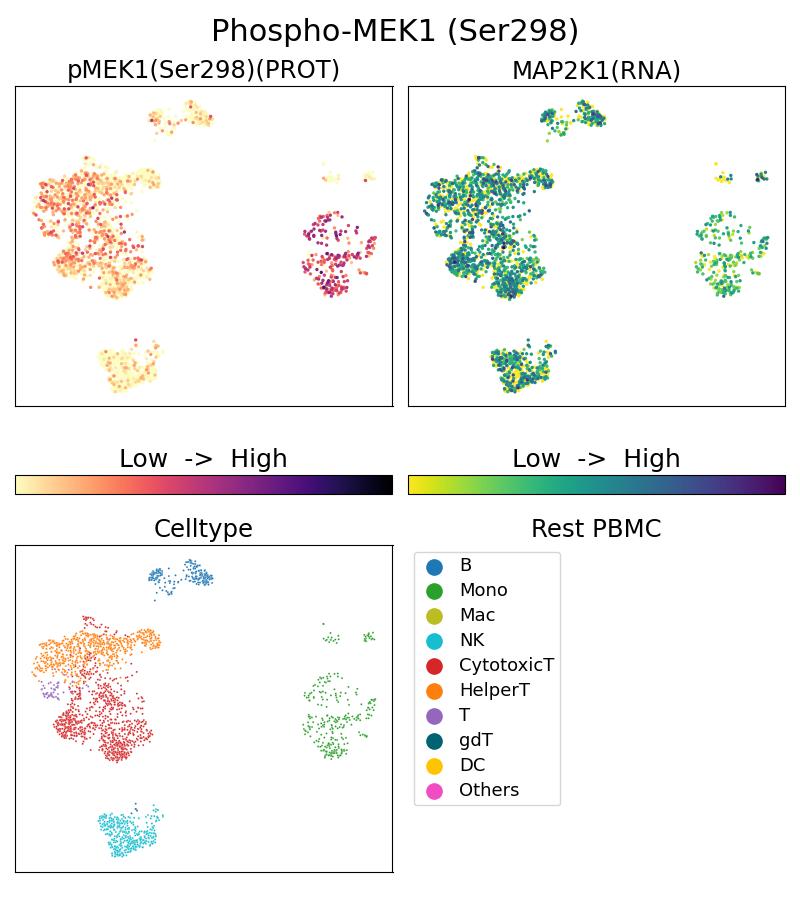 Single Cell Sequencing experiment G68047-1-5C on Resting PBMC
