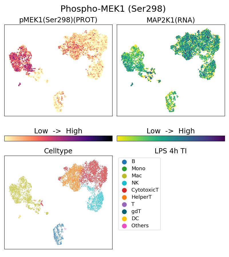 Single Cell Sequencing experiment G68047-1-5C on PBMC treated with 4hr LPS + TI