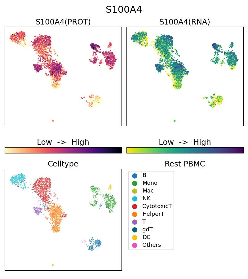 Single Cell Sequencing experiment G66489-1-5C on Resting PBMC