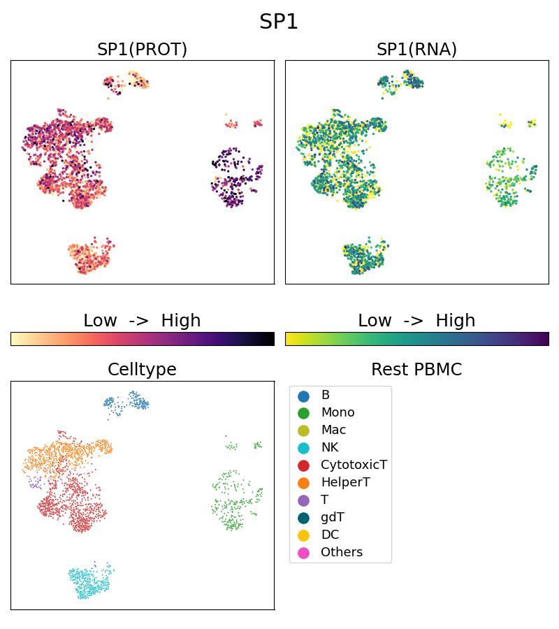 Single Cell Sequencing experiment G66508-1-5C on Resting PBMC