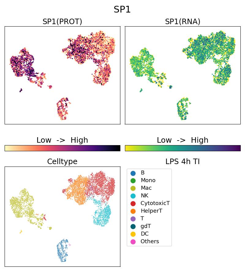 Single Cell Sequencing experiment G66508-1-5C on PBMC treated with 4hr LPS + TI