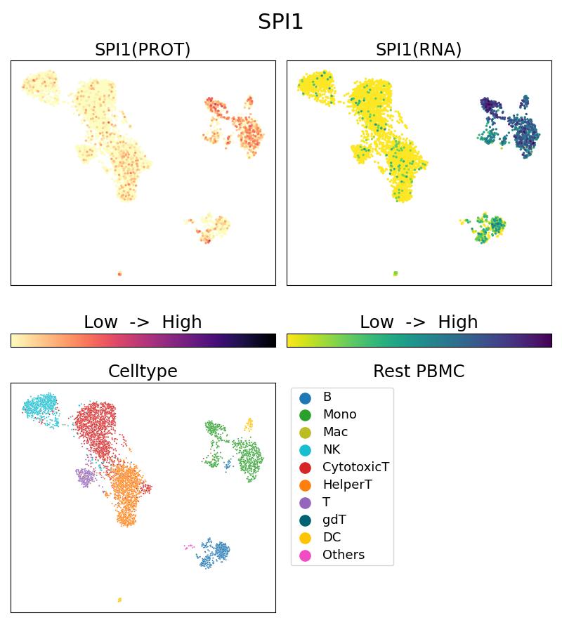 Single Cell Sequencing experiment G66618-2-5C on Resting PBMC