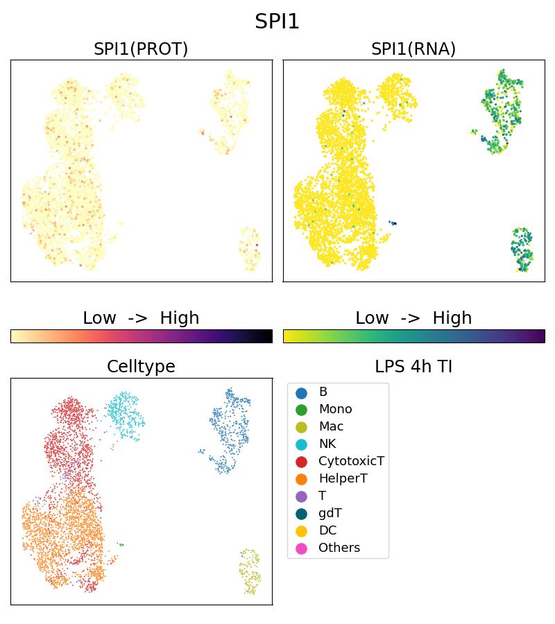 Single Cell Sequencing experiment G66618-2-5C on PBMC treated with 4hr LPS + TI