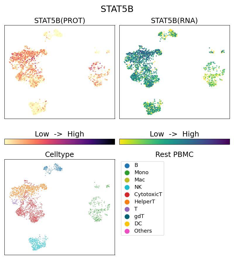 Single Cell Sequencing experiment G66427-1-5C on Resting PBMC